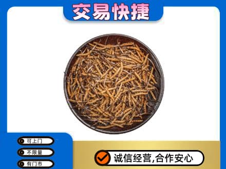 南平市政和回收散虫草